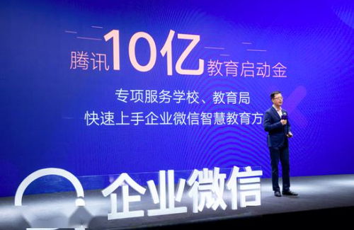 合肥京东企业金采套出来,合肥京东企业金采套出来的智慧与挑战