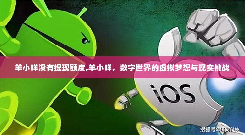 羊小咩没有提现额度,羊小咩，数字世界的虚拟梦想与现实挑战