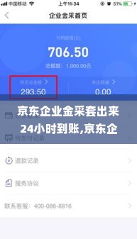 京东企业金采套出来24小时到账,京东企业金采套出来24小时到账——高效资金流转的新选择