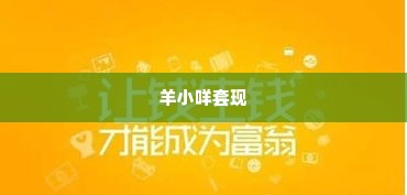 羊小咩套现怎么不亏,羊小咩套现攻略，智慧理财，规避风险
