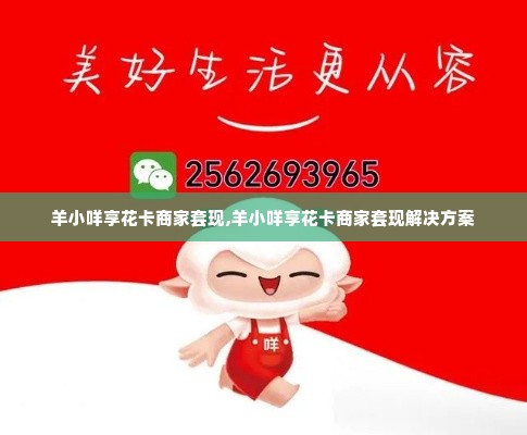 羊小咩享花卡商家套现,羊小咩享花卡商家套现解决方案
