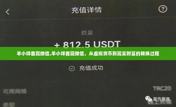 羊小咩套现微信,羊小咩套现微信，从虚拟货币到现实财富的转换过程