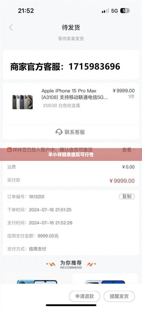 羊小咩额度可以提现么,羊小咩额度提现的可行性探讨