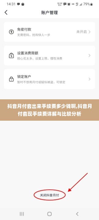 抖音月付套出来手续费多少钱啊,抖音月付套现手续费详解与比较分析