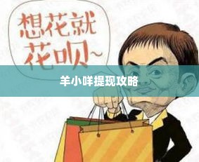 羊小咩怎么套现出来,羊小咩套现攻略，安全、合法地从羊小咩平台提取资金