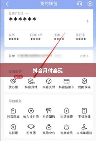 支持抖音月付套出来的平台有哪些呢,探索抖音月付套现的合法与非法途径