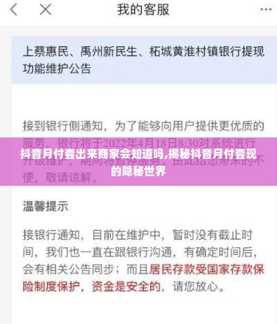 抖音月付套出来商家会知道吗,揭秘抖音月付套现的隐秘世界