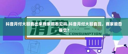 抖音月付大额套出来商家能看见吗,抖音月付大额套现，商家能否察觉？