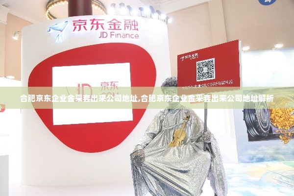 合肥京东企业金采套出来公司地址,合肥京东企业金采套出来公司地址解析