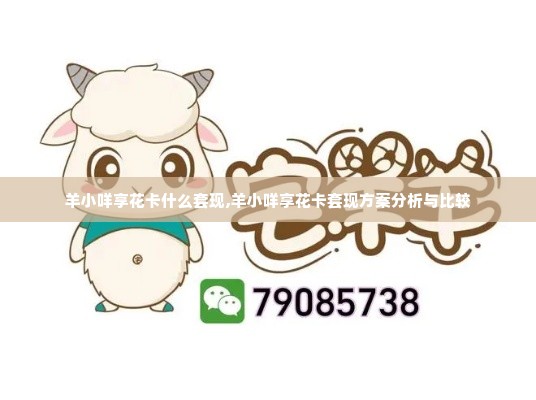 羊小咩享花卡什么套现,羊小咩享花卡套现方案分析与比较