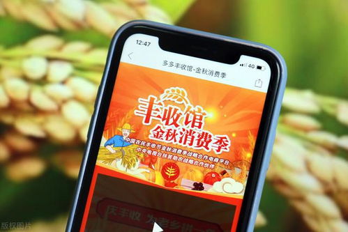 有没有拼多多先用后付手机套出来的,拼多多先用后付手机套的秘密揭秘