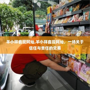 羊小咩套现阿灿,羊小咩套现阿灿，一场关于信任与责任的交易