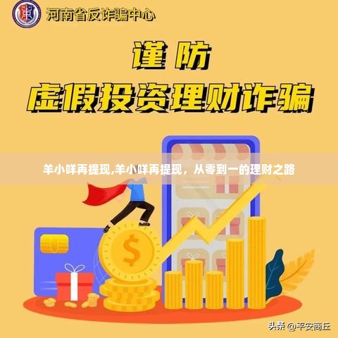 羊小咩再提现,羊小咩再提现，从零到一的理财之路