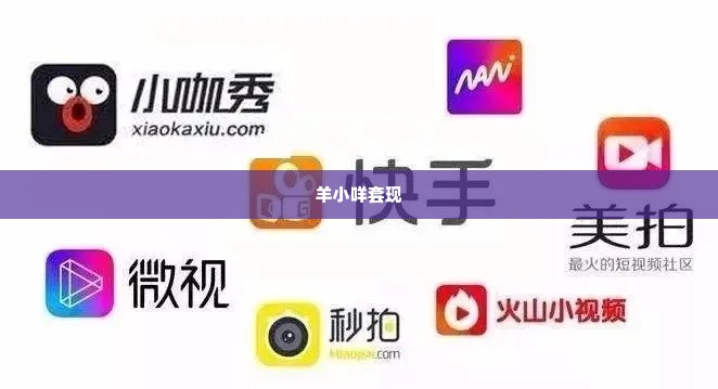 羊小咩怎么套现比较快,羊小咩怎么套现比较快？探索快速变现的秘诀