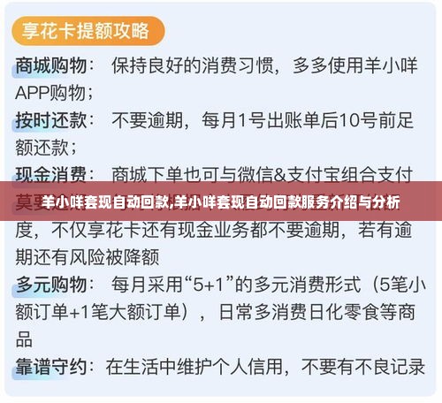 羊小咩套现自动回款,羊小咩套现自动回款服务介绍与分析