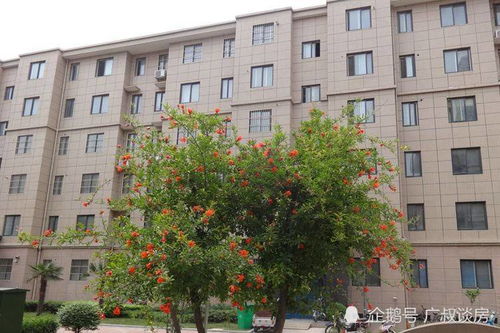 广州番禺微店放心花套出来公司,广州番禺微店放心花套出来公司——品质与信任的桥梁