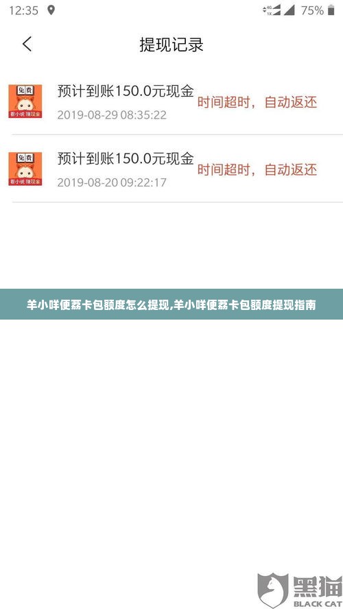 羊小咩便荔卡包额度怎么提现,羊小咩便荔卡包额度提现指南