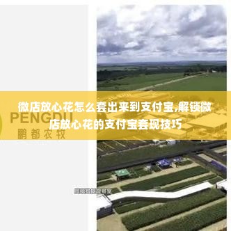 微店放心花怎么套出来到支付宝,解锁微店放心花的支付宝套现技巧