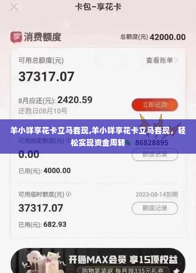 羊小咩享花卡立马套现,羊小咩享花卡立马套现，轻松实现资金周转