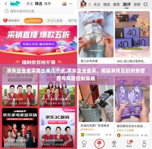 京东企业金采套出来几个点,京东企业金采，揭秘其背后的财务管理与风险控制策略