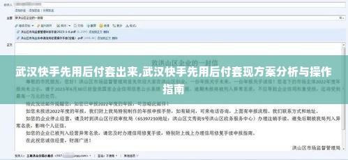 武汉快手先用后付套出来,武汉快手先用后付套现方案分析与操作指南