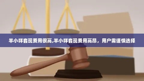 羊小咩套现费用很高,羊小咩套现费用高昂，用户需谨慎选择