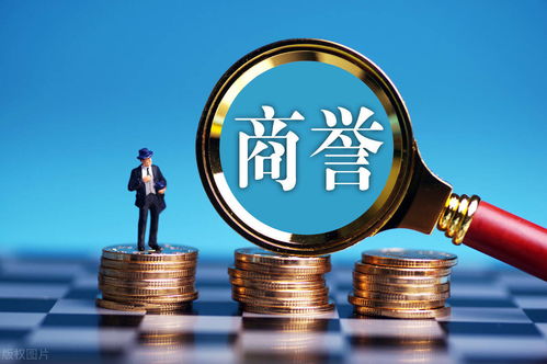 转转分期大额套出来商家能看见吗,揭秘转转分期大额套现的隐秘操作，商家是否知晓？