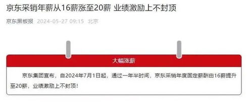 京东企业金采套出来20个点是多少钱,京东企业金采套现操作详解，20%的返点计算与实际收益分析
