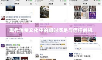 微店放心花套出来秒回是什么,微店放心花套出来秒回——现代消费文化中的即时满足与信任危机