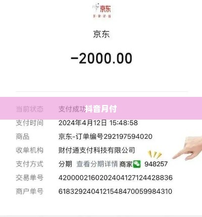 抖音月付套出来商家怎么操作的呢,揭秘抖音月付套现商家操作流程