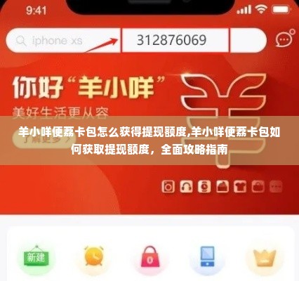 羊小咩便荔卡包怎么获得提现额度,羊小咩便荔卡包如何获取提现额度，全面攻略指南