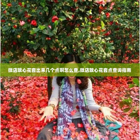 微店放心花套出来几个点啊怎么查,微店放心花套点查询指南
