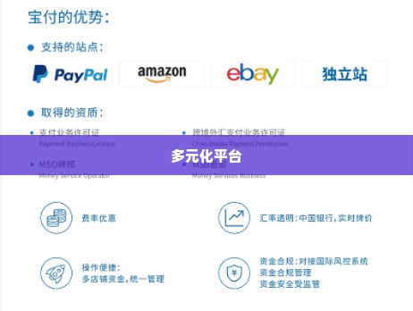 支持抖音月付套出来的平台,探索支持抖音月付套现的多元化平台