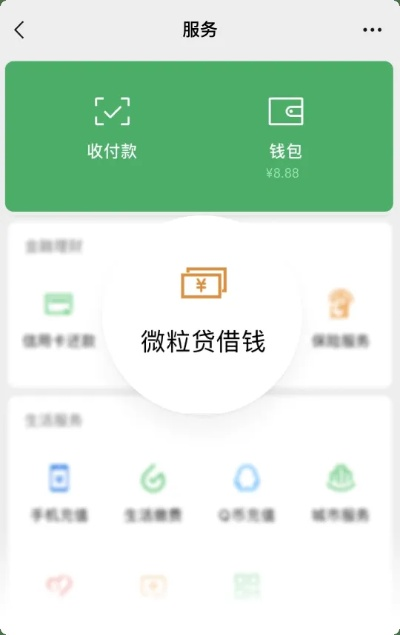 支持抖音月付套出来的平台,探索支持抖音月付套现的多元化平台