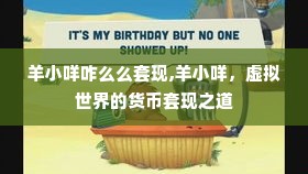 羊小咩咋么么套现,羊小咩，虚拟世界的货币套现之道