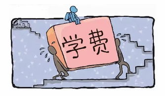羊小咩套现费用高吗,羊小咩套现费用分析与比较