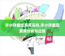 羊小咩套现费用高吗,羊小咩套现费用分析与比较