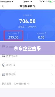 京东企业金采套出来套路有哪些,揭秘京东企业金采——套现套路全解析