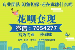 京东企业金采哪里套出来啊,揭秘京东企业金采的套现方法