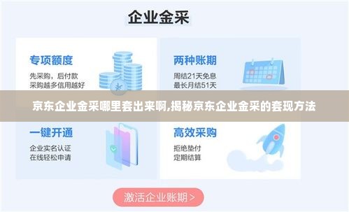 京东企业金采哪里套出来啊,揭秘京东企业金采的套现方法
