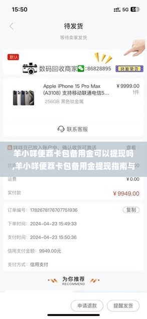 羊小咩便荔卡包备用金可以提现吗,羊小咩便荔卡包备用金提现指南与分析