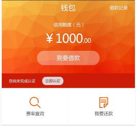 转转分期套出来吗是真的吗安全吗,转转分期套出来吗——揭秘网络贷款平台的分期付款服务及其安全性分析