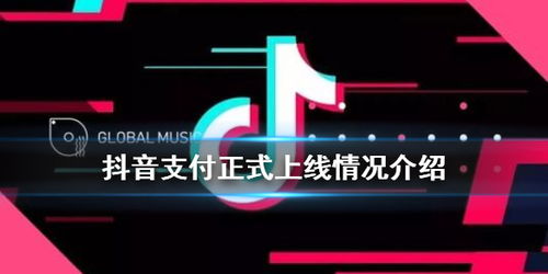 抖音月付24小时套出来啊多少钱,抖音月付24小时套现，揭秘网络赚钱新门路