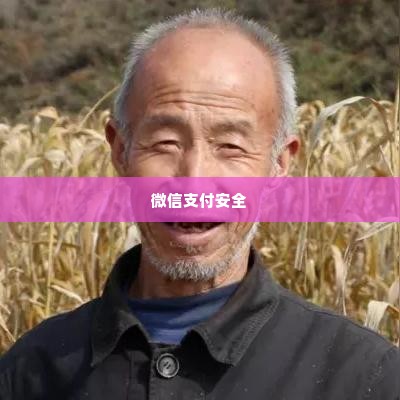 微店放心花套出来怎么弄到微信里去,微信微店放心花套的巧妙转移