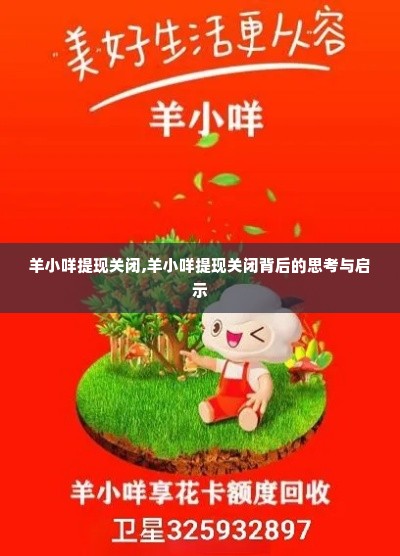 羊小咩提现关闭,羊小咩提现关闭背后的思考与启示