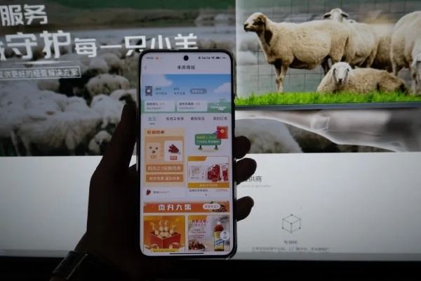 羊小咩提现关闭,羊小咩提现关闭背后的思考与启示