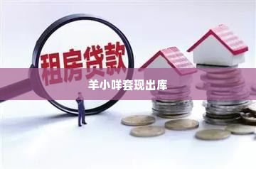 羊小咩套现出库,羊小咩套现出库，揭秘网络借贷平台背后的风险与机遇
