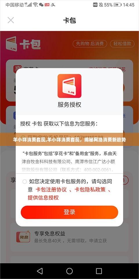 羊小咩消费套现,羊小咩消费套现，揭秘网络消费新趋势