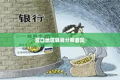 营口地区转转分期套出来,揭秘营口地区转转分期套现的真相