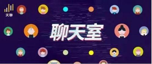晚上找谁套出来美团月付,揭秘夜晚的社交密码，与美团月付的秘密对话